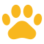 Pet Taxis